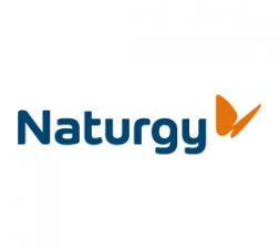naturgy