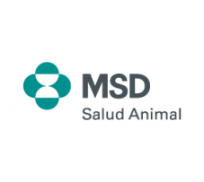 msd