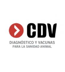 CDV